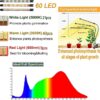 FRGROW 3 Head Clip On Grow Lights for Indoor Plants - Image 2