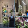 FRGROW 3 Head Clip On Grow Lights for Indoor Plants - Image 3