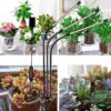 FRGROW 3 Head Clip On Grow Lights for Indoor Plants - Image 5