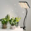 FRGROW Zinqolay Clip On Grow Lights for Indoor Plants