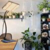 FRGROW Zinqolay Clip On Grow Lights for Indoor Plants - Image 3