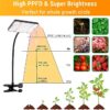 FRGROW Zinqolay Clip On Grow Lights for Indoor Plants - Image 5