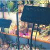 FRGROW Zinqolay Clip On Grow Lights for Indoor Plants - Image 6