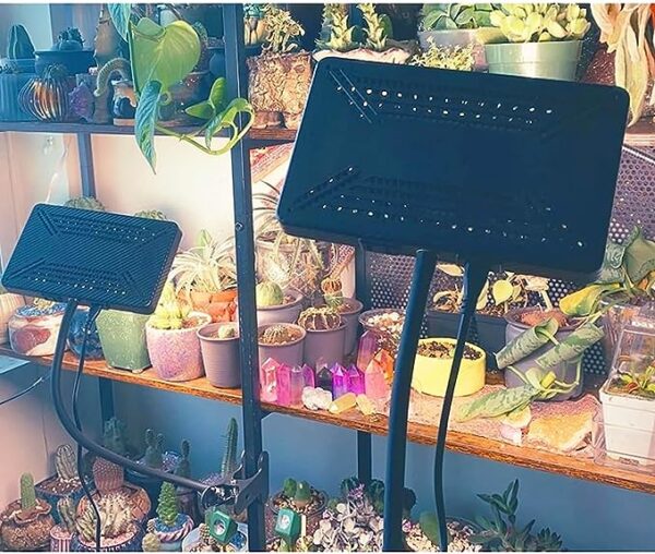 FRGROW Zinqolay Clip On Grow Lights for Indoor Plants - Image 6